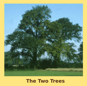 The Two Trees